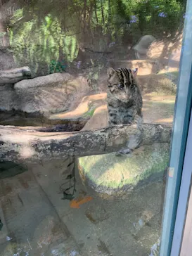 神戸どうぶつ王国に投稿された画像（2021/11/7）