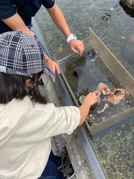 横浜・八景島シーパラダイスに投稿された画像（2021/11/7）