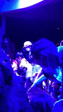 横浜・八景島シーパラダイスに投稿された画像（2021/11/7）