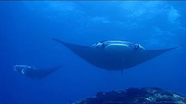 マリンショップtaitaiに投稿された画像（2021/11/7）