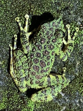 マングローブ茶屋に投稿された画像（2021/11/7）