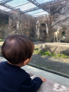 東武動物公園に投稿された画像（2021/11/7）