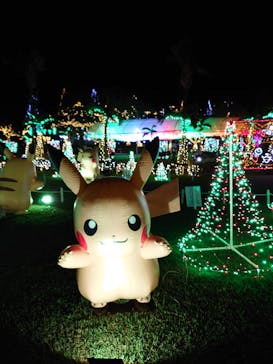 美らヤシパークオキナワ・東南植物楽園に投稿された画像（2021/11/7）