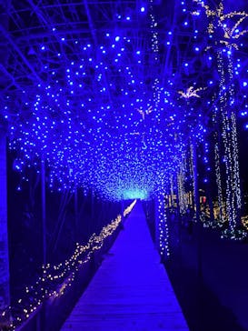 美らヤシパークオキナワ・東南植物楽園に投稿された画像（2021/11/7）