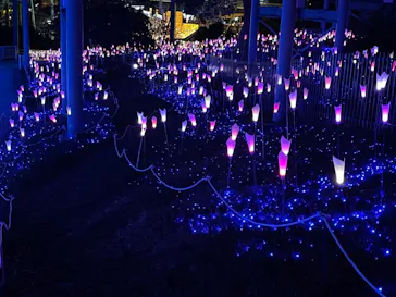 ひらかたパークに投稿された画像（2021/11/7）