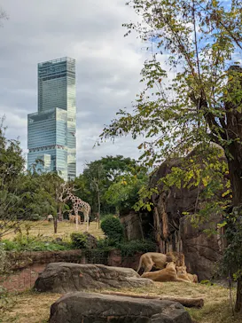 天王寺動物園に投稿された画像（2021/11/7）