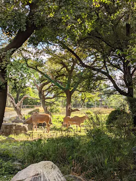天王寺動物園に投稿された画像（2021/11/7）