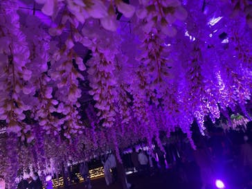 東京メガイルミに投稿された画像（2021/11/7）