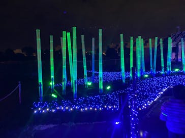 東京メガイルミに投稿された画像（2021/11/7）