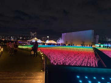 東京メガイルミに投稿された画像（2021/11/7）