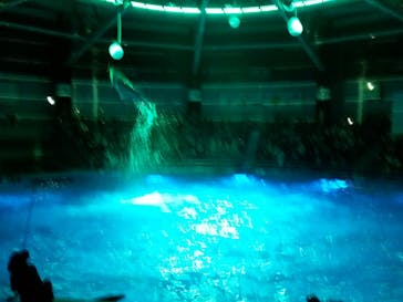 マクセル アクアパーク品川に投稿された画像（2021/11/7）