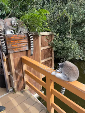 神戸どうぶつ王国に投稿された画像（2021/11/7）