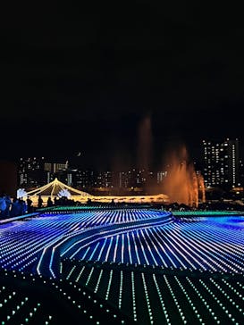 東京メガイルミに投稿された画像（2021/11/7）