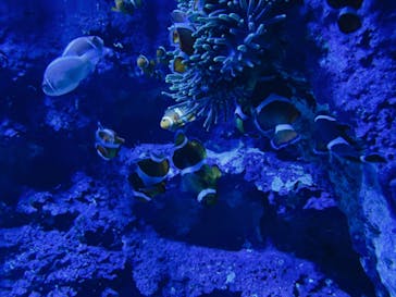 サンシャイン水族館に投稿された画像（2021/11/7）