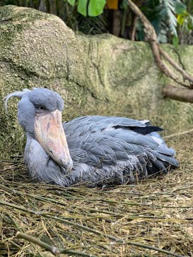 那須どうぶつ王国に投稿された画像（2021/11/7）