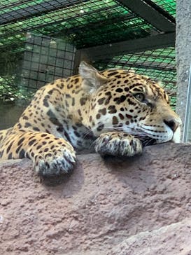 那須どうぶつ王国に投稿された画像（2021/11/7）