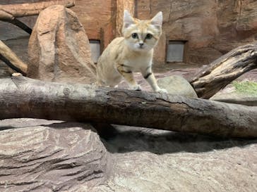 那須どうぶつ王国に投稿された画像（2021/11/7）