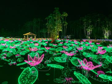 美らヤシパークオキナワ・東南植物楽園に投稿された画像（2021/11/7）