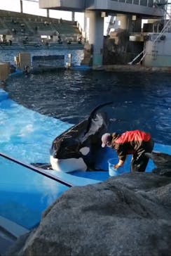 名古屋港水族館に投稿された画像（2021/11/7）