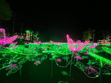 美らヤシパークオキナワ・東南植物楽園に投稿された画像（2021/11/7）