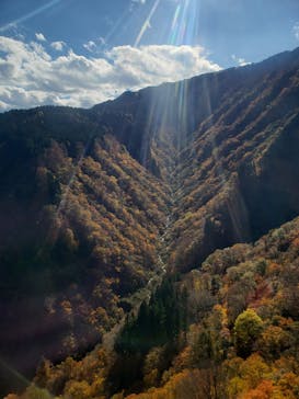 湯沢高原スキー場/パノラマパークに投稿された画像（2021/11/7）