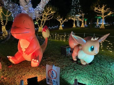 美らヤシパークオキナワ・東南植物楽園に投稿された画像（2021/11/7）