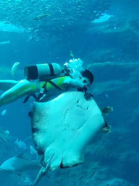 新江ノ島水族館に投稿された画像（2021/11/7）