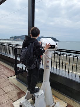 新江ノ島水族館に投稿された画像（2021/11/7）