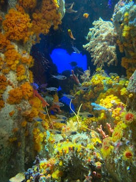 サンシャイン水族館に投稿された画像（2021/11/8）