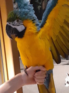 Moff animal world MARK IS みなとみらい店に投稿された画像（2021/11/8）