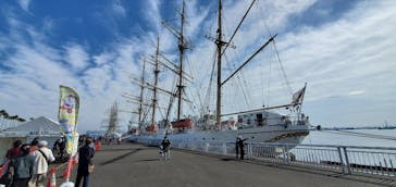 名古屋港水族館に投稿された画像（2021/11/8）