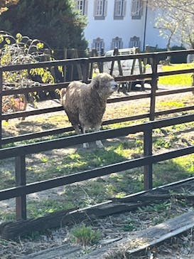 野外民族博物館 リトルワールドに投稿された画像（2021/11/8）