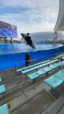 名古屋港水族館に投稿された画像（2021/11/8）