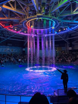 マクセル アクアパーク品川に投稿された画像（2021/11/8）