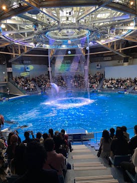 マクセル アクアパーク品川に投稿された画像（2021/11/8）