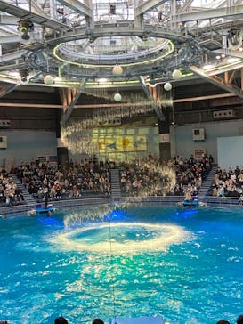 マクセル アクアパーク品川に投稿された画像（2021/11/8）