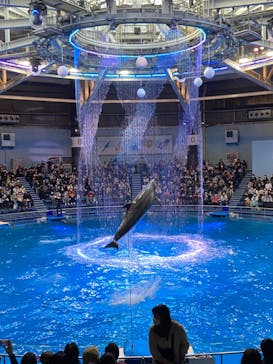 マクセル アクアパーク品川に投稿された画像（2021/11/8）