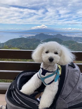 伊豆パノラマパークに投稿された画像（2021/11/8）