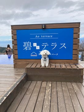 伊豆パノラマパークに投稿された画像（2021/11/8）