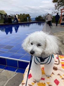 伊豆パノラマパークに投稿された画像（2021/11/8）