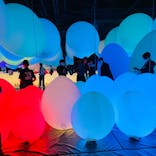 森ビル デジタルアート ミュージアム：エプソン チームラボボーダレスに投稿された画像（2021/11/8）