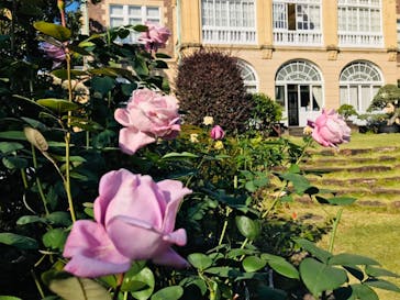 鳩山会館に投稿された画像（2021/11/8）