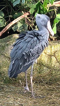 那須どうぶつ王国に投稿された画像（2021/11/8）