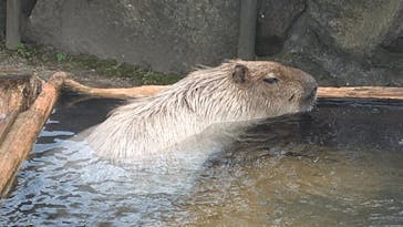 那須どうぶつ王国に投稿された画像（2021/11/8）