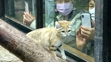 那須どうぶつ王国に投稿された画像（2021/11/8）