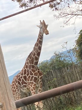 群馬サファリパークに投稿された画像（2021/11/8）