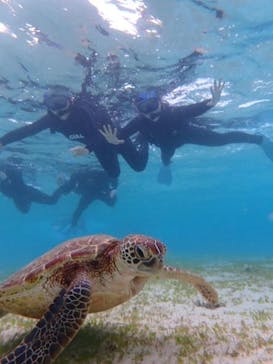 宮古島 ADVENTURE PiPi（ミヤコジマ アドベンチャー ピピ）に投稿された画像（2021/11/5）