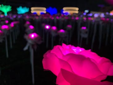 東京メガイルミに投稿された画像（2021/11/8）