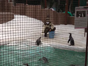 天王寺動物園に投稿された画像（2021/11/8）