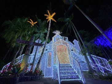 美らヤシパークオキナワ・東南植物楽園に投稿された画像（2021/11/8）